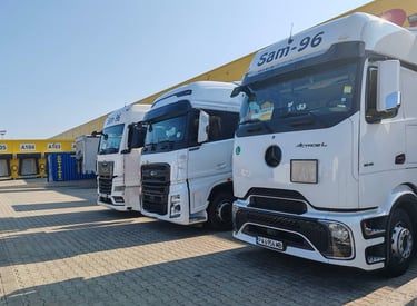SAM 96 | САМ-ТРАНС - Камиони
