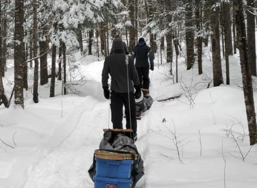 Expédition raquette toboggan