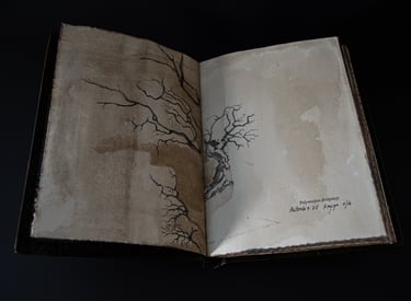 Iliustracijos – originalai,  atliktos mišria technika.