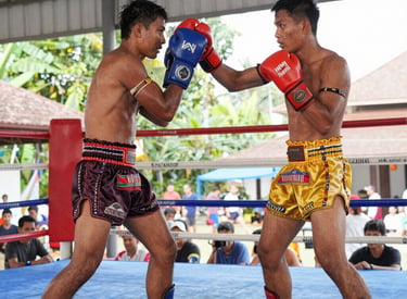Energetic Muay Thai training session with international students and professional trainers in a premium gym.