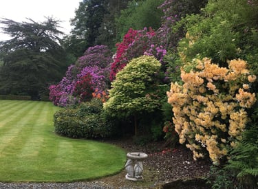 grass cutting bridgnorth