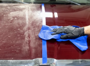 paint protection services