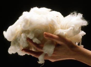 Scoured merino wool 14.5 to 36 micron supplier India — TIRUPATI