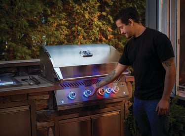 Napoleon 304 Stainless Steel Double Doors for Outdoor BBQ Kitchen