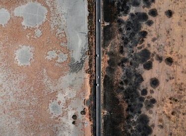 Mould