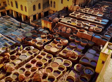 Chouara Tannery in Fes Medina during 2-day cultural heritage tour