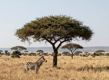 A close-up of natural black soap and sugar scrub ingredients artfully arranged on a wooden surface.