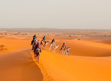 Tourists riding camels in a caravan across the orange sand dunes of the Sahara Desert.
