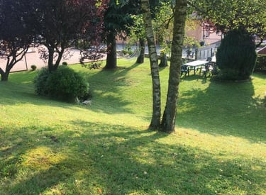 il giardino in una giornata soleggiata 