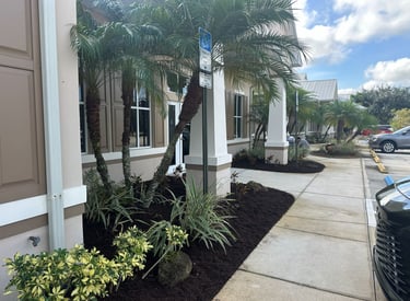 Newly installed plants and mulch