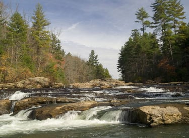 A scenic wide river waterfall flowing over flat rocks surrounded by evergreen and autumn trees.