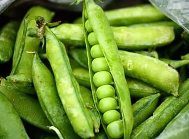 .Import Egyptian Fresh Peas - HS Code 070810