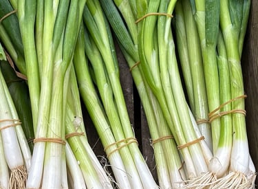.Import Egyptian Fresh Spring onion - HS Code 070310