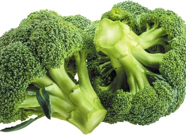 Import Egyptian Fresh Broccoli - HS Code 070410