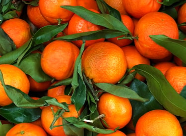 Import Egyptian Fresh Clementine - HS Code 080522
