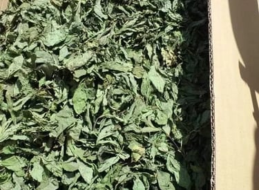 Import Egyptian Dry Molokhia - HS Code 071290