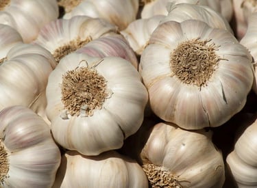 Import Egyptian Fresh Garlic - HS Code 070320