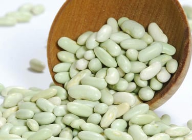 Import Egyptian Fresh White beans- HS Code 071333