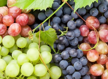 Import Egyptian Grapes- HS Code 080610