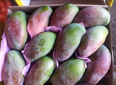 Import Egyptian Mango - HS Code 080450