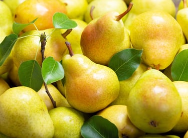 Import Egyptian Pear - HS Code 080830