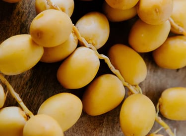 Import Egyptian Dates - HS Code 080410