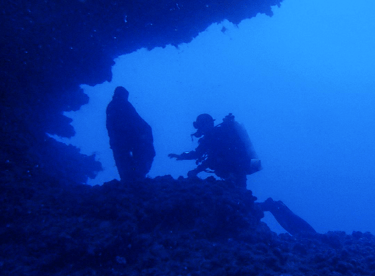 Underwater statue of Mary and diver