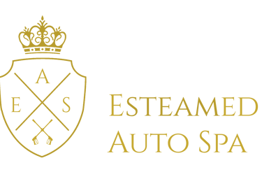 auto detailing logo