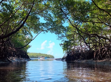 Trilhas, Ilha de Boipeba Praia de Castelhanos Refúgio do Sagrado. Eventos e hospedagem