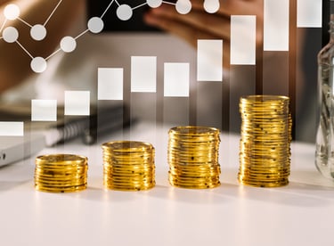 تقديم خدمات الاستشارات الاستثمارية وتحليل الفرص المالية لمساعدة الشركات على اتخاذ قرارات استثمارية 