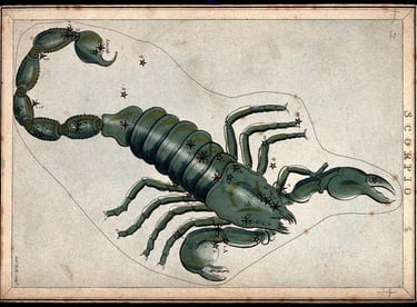 Scorpio Constellation 