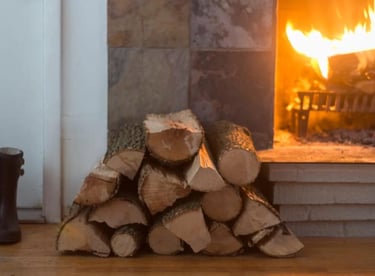 Foyer de cheminée bien entretenu avec un feu de bois vif et chaleureux,