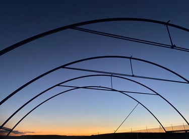 Estructura nave tipo invernadero