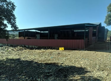 Proyecto de legalización nave ganadera