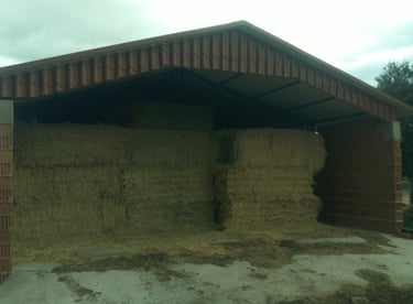 frontal nave abierto para heno y paja
