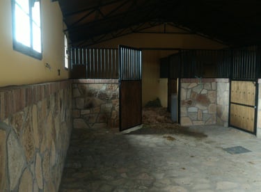 Proyecto de Actividad para yeguada de caballos