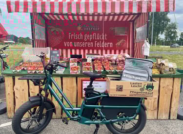 Lastenrad Frisch gekühlt