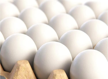 Wooden Eggs to decorate for Easter