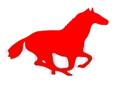 Fuji Filters Pakistan Original quality Essa Engineering 