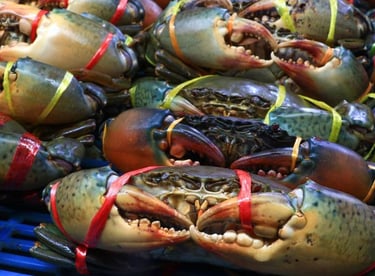 vietnamese crab supplier