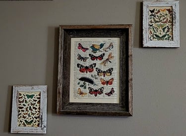 Vintage butterfly prints