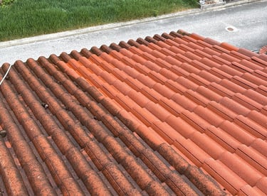 Nettoyage de toiture