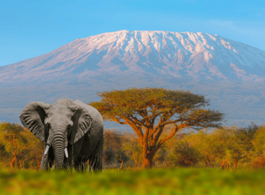 Monte Kilimanjaro