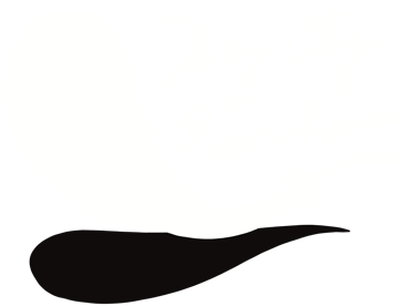 logo featuring a feather and the words, "Derby City Pigeon Rescue."