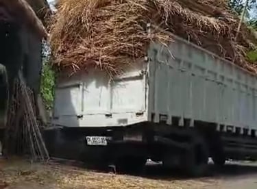 a truck with a large pile of hay on it