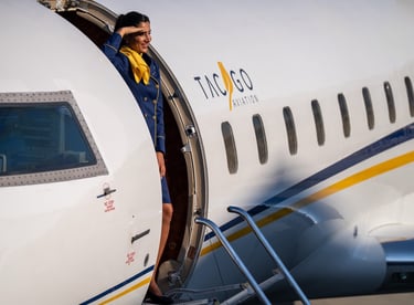 charter, private jet, luxury, TAC, TC TAC, TC-TAC, business jet, Istanbul, Challenger 850