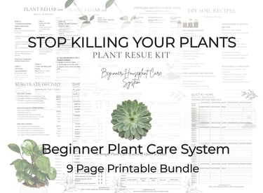 Stop Killing Your Plants beginner bundle from Quiet at Home with easy printable plant care guides co