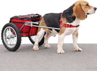Heavy Duty Dog Wagon Harness for Cart Pulling, Adjustable Working Dog Harness with Reinforced Snap B