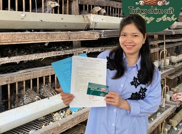 trứng chim cút bóc sẵn Đông Anh, Hà Nội, chim cút thịt, chim câu thịt giá sỉ