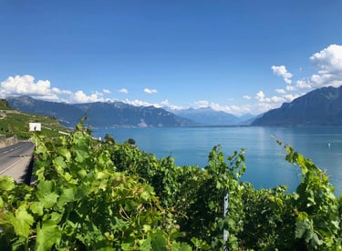 Lac Léman avec des vignes et des montagnes en arrière-plan